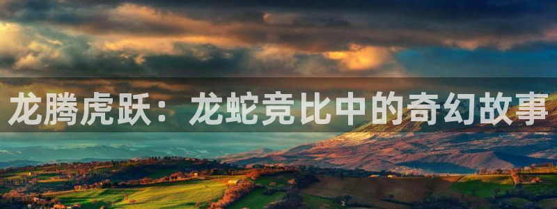 囧次元app官方下载：龙腾虎跃：龙蛇竞比中的奇幻故事