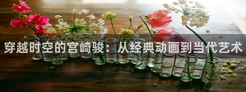 囧次元动漫官方正版：穿越时空的宫崎骏：从经典动画到当代艺术