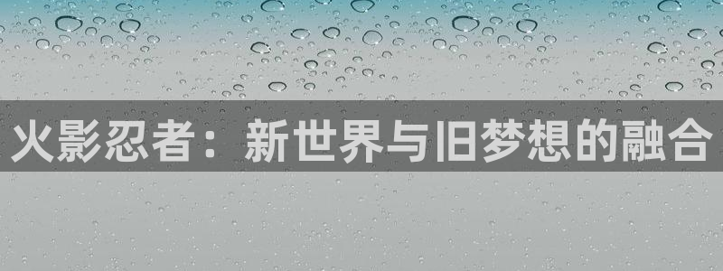 囧次元正版入口：火影忍者：新世界与旧梦想的融合