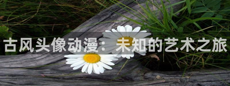囧次元网站官网下载：古风头像动漫：未知的艺术之旅
