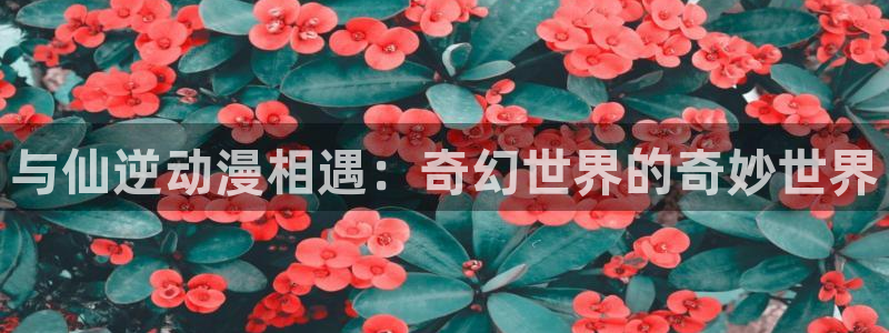 囧次元动漫app正版：与仙逆动漫相遇：奇幻世界的奇妙世界