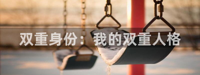囧次元入口：双重身份：我的双重人格