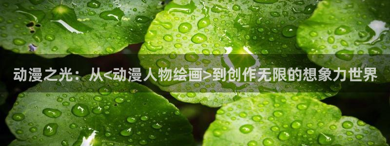 囧次元官方最新版：动漫之光：从<动漫人物绘画>到创作无限的想象力世界