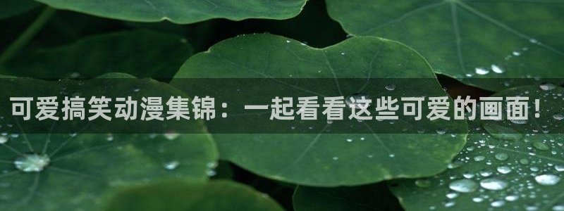 囧次元免费：可爱搞笑动漫集锦：一起看看这些可爱的画面！